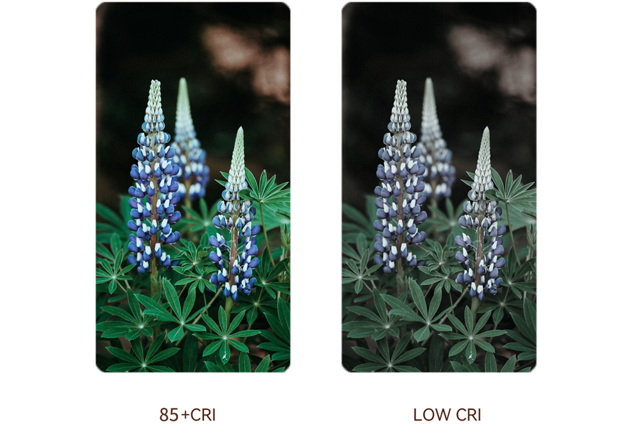 High CRI -85- High CRI>85